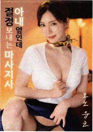 千纸鹤航线推荐封面